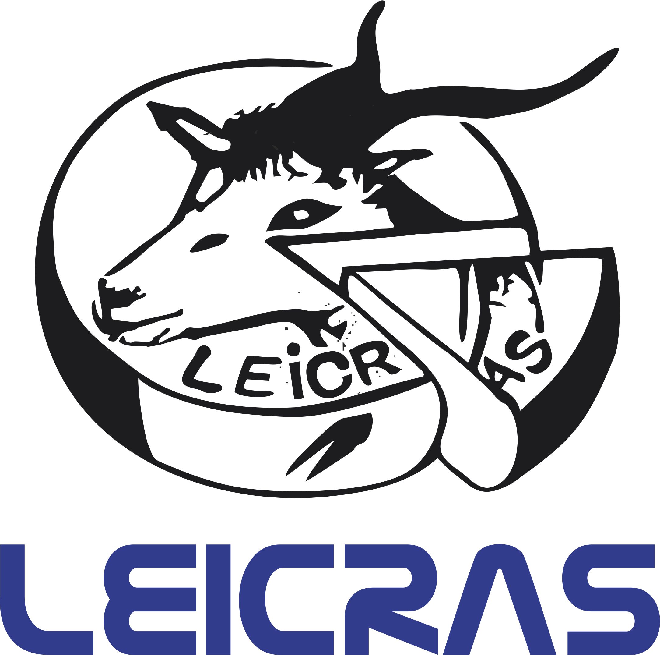 leicras.jpg