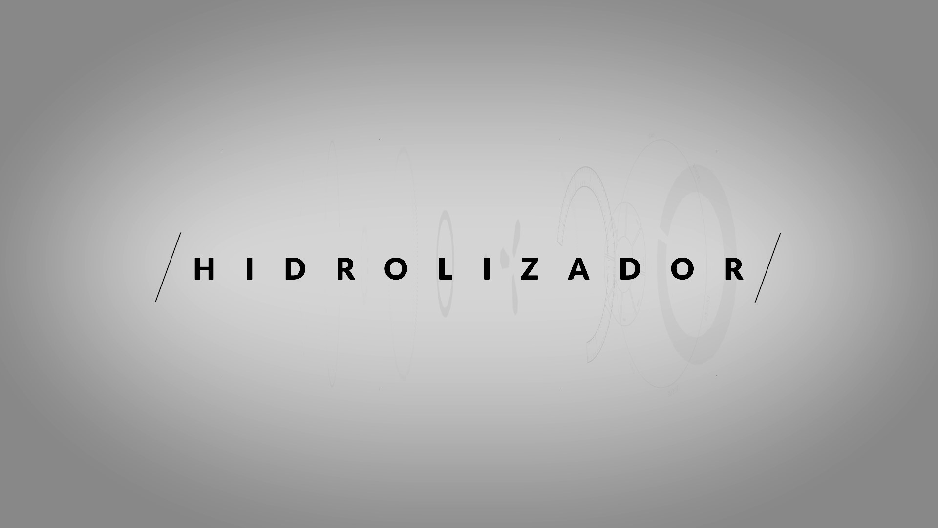 Hidrolizador